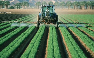 pesticides