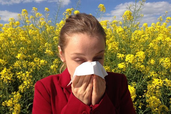 Pollen allergie