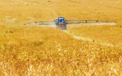 Glyphosate