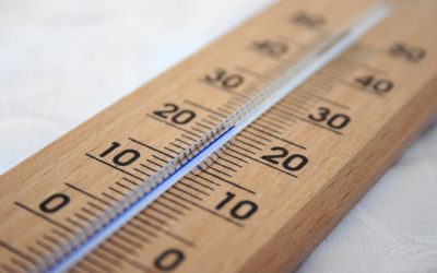 Canicule
