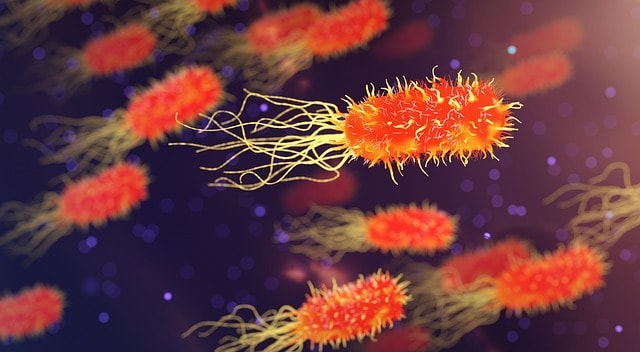 Antibiorésistance