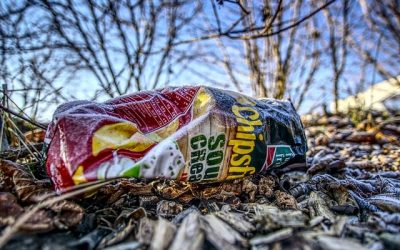 Changement climatique alimentation