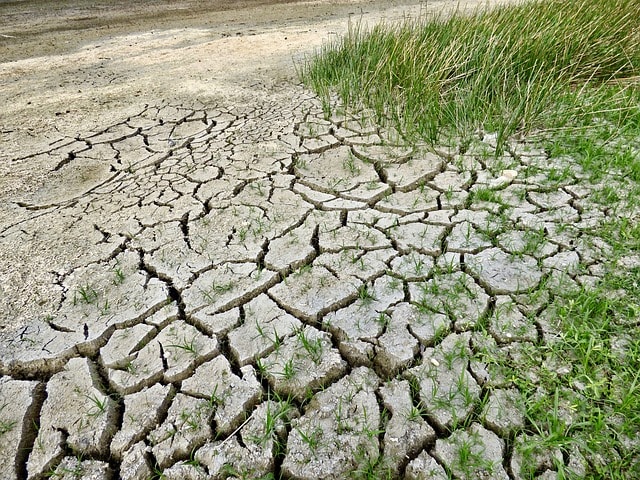 Changement climatique