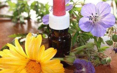 Homéopathie