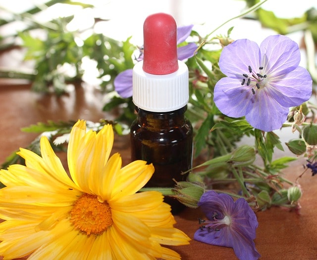 Homéopathie