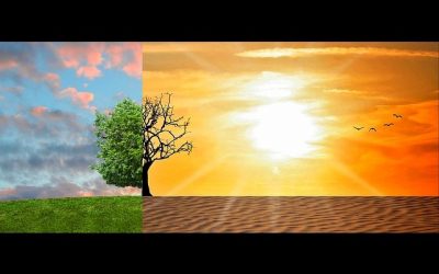 Eco-anxiété_climat