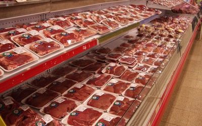 Barquettes alimentaires_plastique