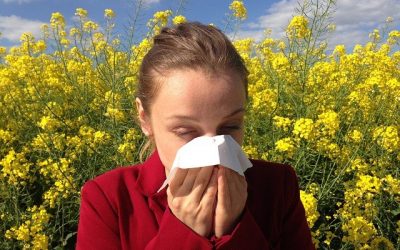 Pollens-rechauffement climatique