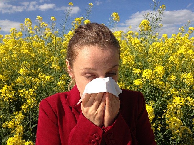 Pollens-rechauffement climatique
