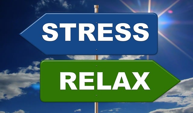 Stress obésité