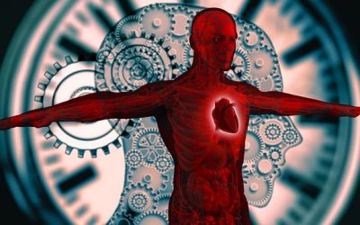 chronopharmacologie
