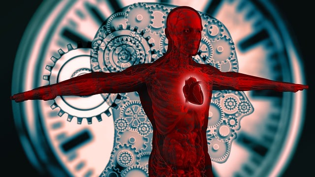 chronopharmacologie