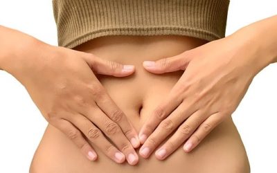 Digestion