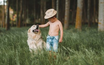 Maladie de Crohn et chien
