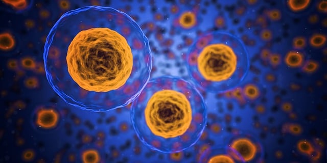 AOH1996_cancer-cellules