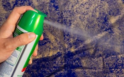 Punaises de lit et insecticides