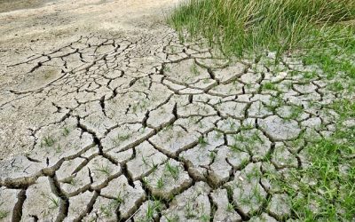 Réchauffement climatique et espérance de vie