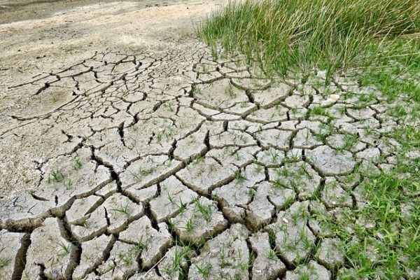 Réchauffement climatique et espérance de vie