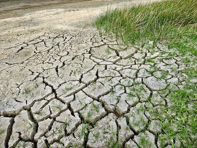 Réchauffement climatique et espérance de vie