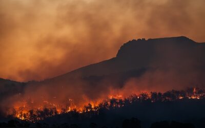 Incendies