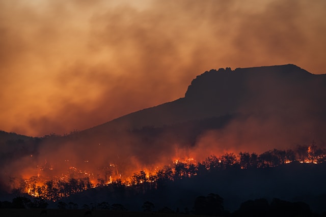 Incendies
